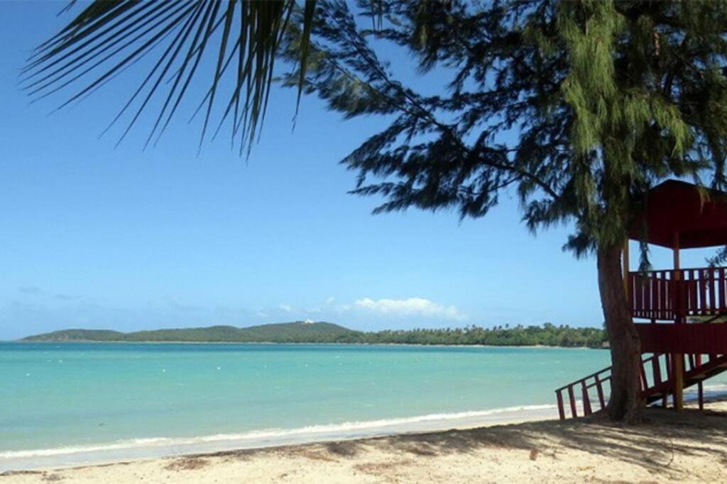 Sunset View Apartment In A Great Location Fajardo Bagian luar foto
